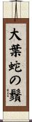 大葉蛇の鬚 Scroll