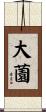 大薗 Scroll