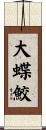 大蝶鮫 Scroll