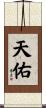 Divine Grace Scroll