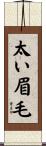 太い眉毛 Scroll