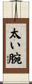 太い腕 Scroll