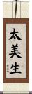 太美生 Scroll