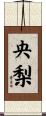 央梨 Scroll