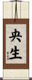 央生 Scroll