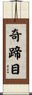 奇蹄目 Scroll