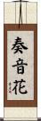 奏音花 Scroll