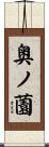 奥ノ薗 Scroll