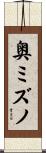 奥ミズノ Scroll