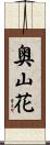 奥山花 Scroll