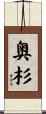 奥杉 Scroll