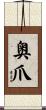 奥爪 Scroll