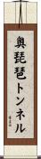 奥琵琶トンネル Scroll