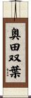 奥田双葉 Scroll