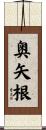 奥矢根 Scroll