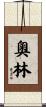 Olin Scroll