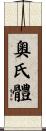 奧氏體 Scroll
