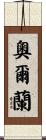 Orlane Scroll