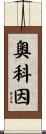 Aucoin Scroll