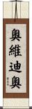 Ovidio Scroll