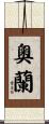 Aurane Scroll