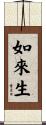如來生 Scroll