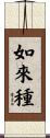 如來種 Scroll