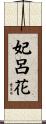 妃呂花 Scroll