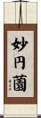 妙円薗 Scroll