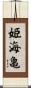 姫海亀 Scroll