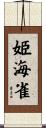 姫海雀 Scroll
