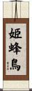 姫蜂鳥 Scroll