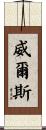 Wells Scroll