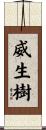 威生樹 Scroll