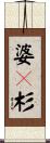 婆々杉 Scroll