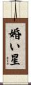 婚い星 Scroll