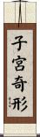 子宮奇形 Scroll