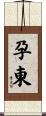 孕東 Scroll