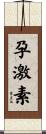 孕激素 Scroll