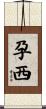 孕西 Scroll