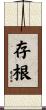 存根 Scroll