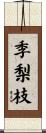 季梨枝 Scroll