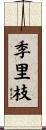 季里枝 Scroll