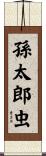孫太郎虫 Scroll