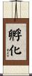 孵化 Scroll
