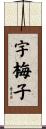 宇梅子 Scroll