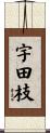 宇田枝 Scroll