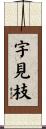 宇見枝 Scroll