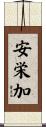 安栄加 Scroll