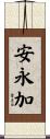 安永加 Scroll